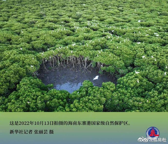 “云南发布”微博