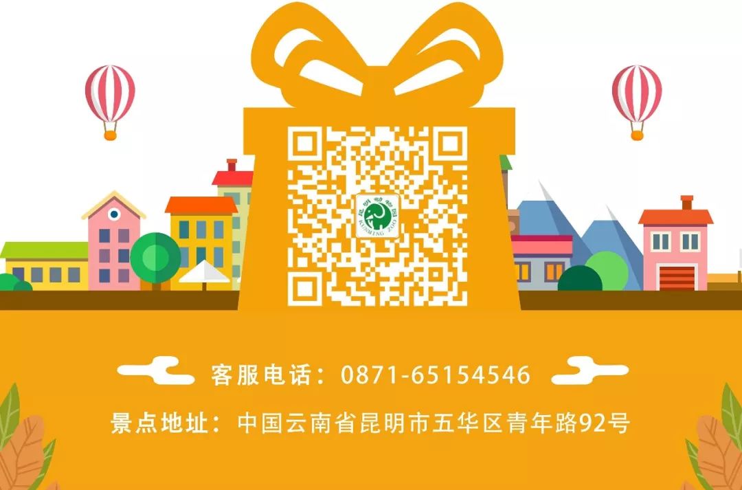 昆明动物园