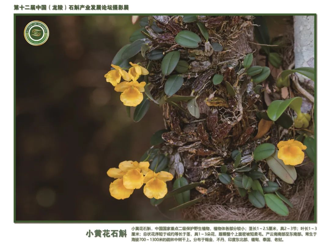 保山广播电视台