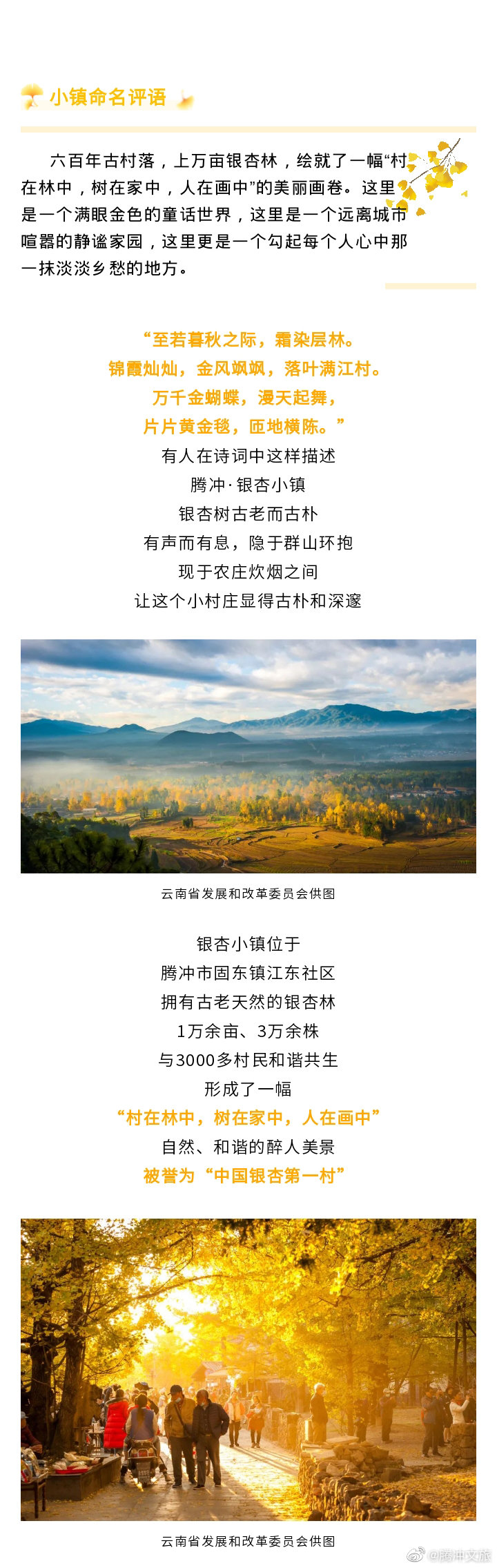 腾冲文旅微博