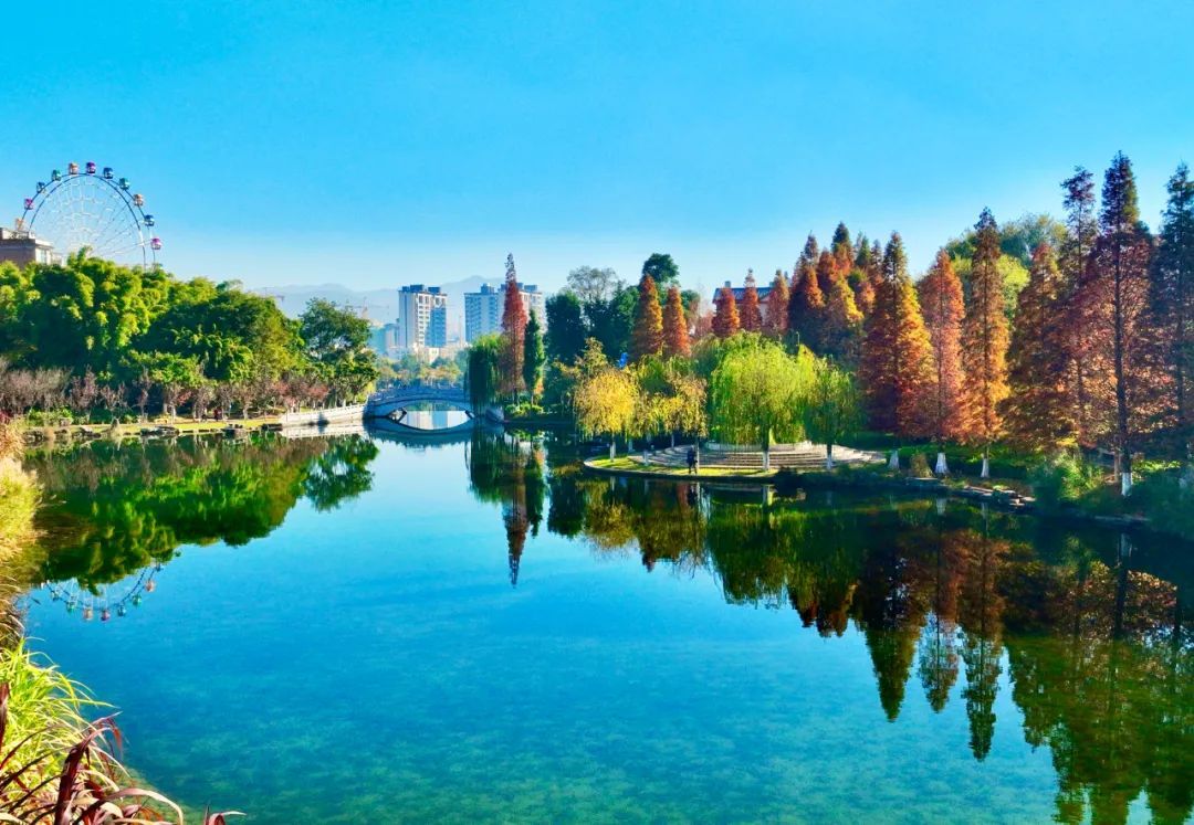 云南省文化和旅游厅