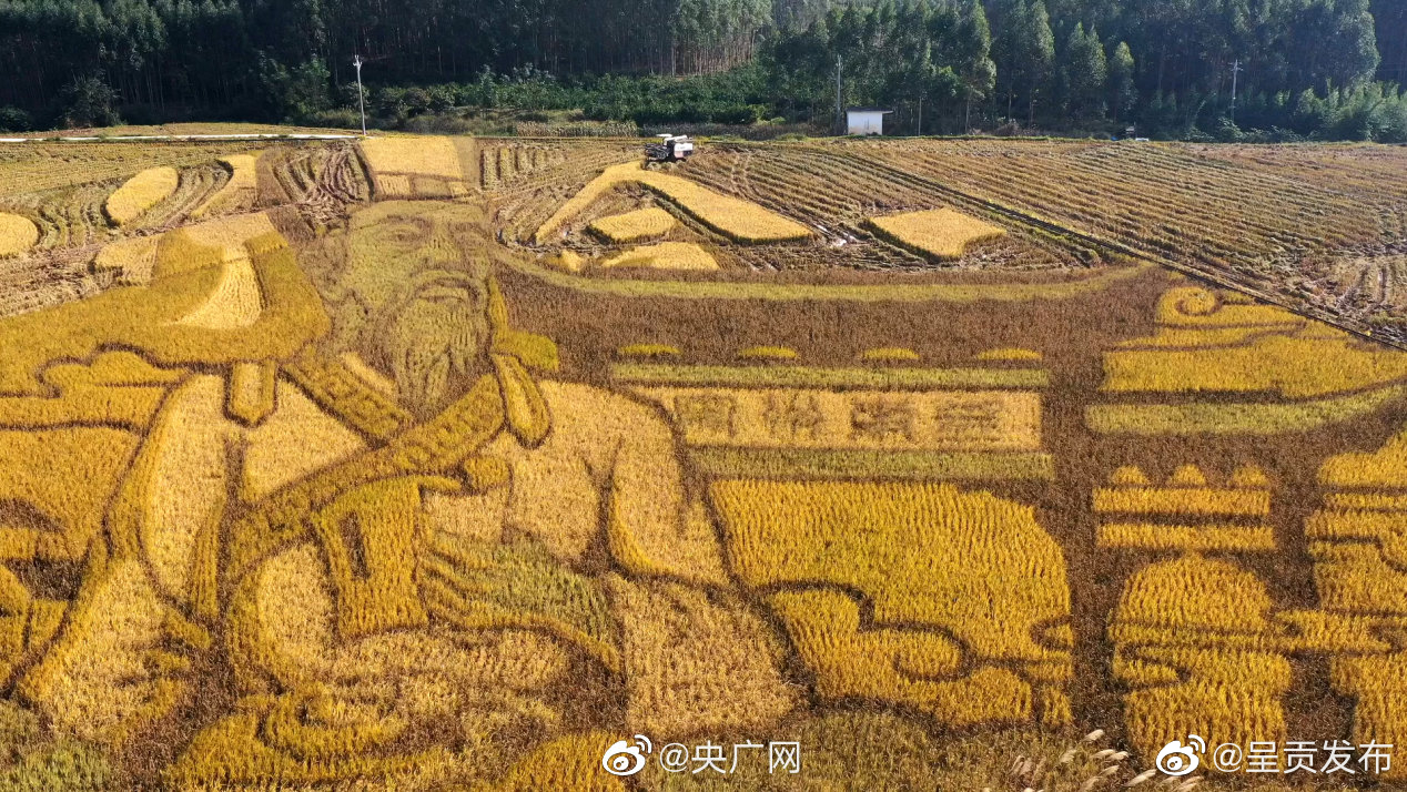 呈贡发布