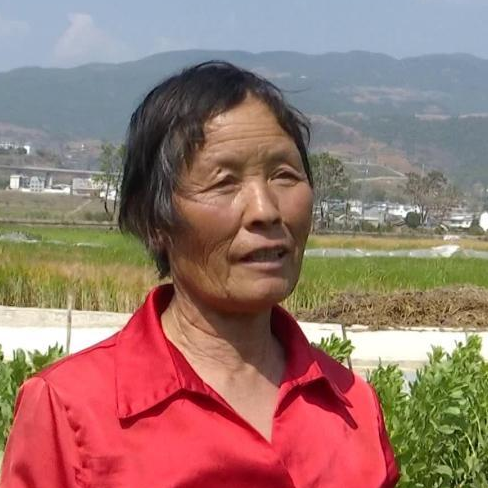 赵常琼永平县杉阳镇仁寿村村民现在村里的机耕路修好了,拖拉机,收割机