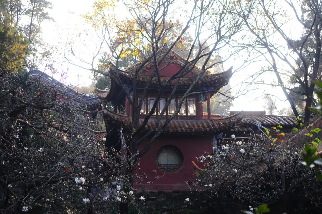 昆明市金殿名胜区