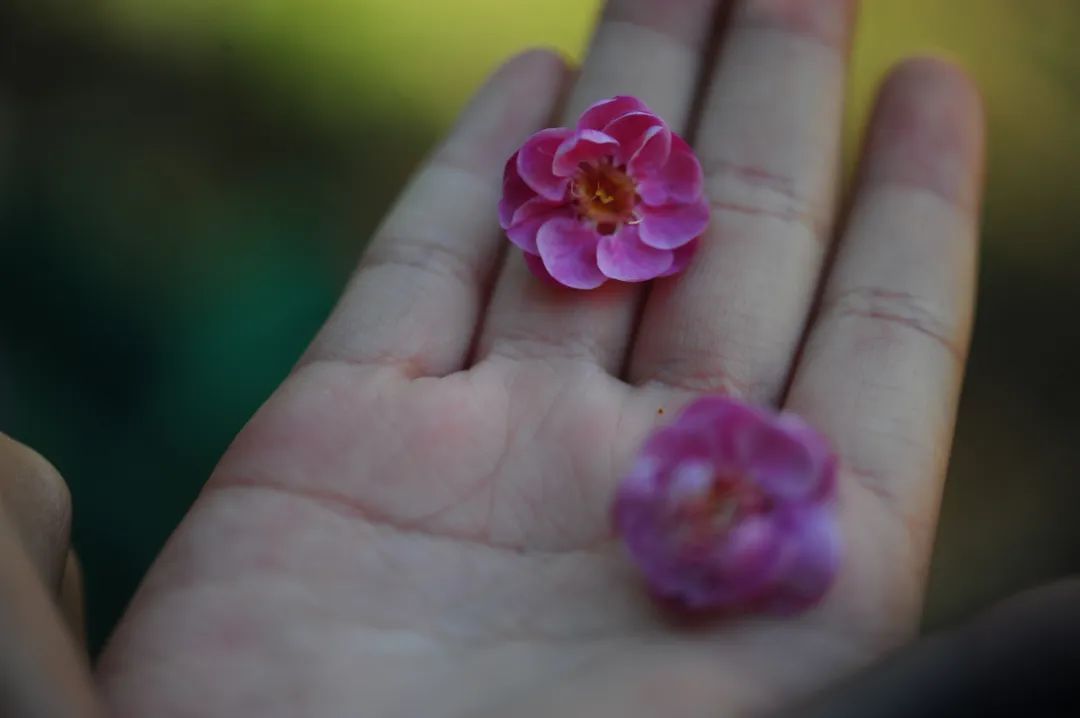 昆明市金殿名胜区