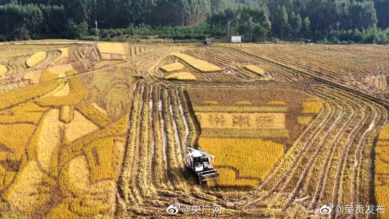 呈贡发布