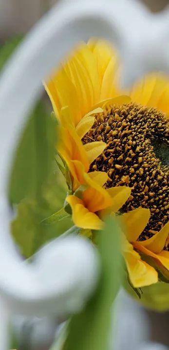 云南省传染病医院