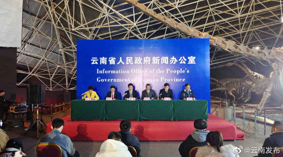 楚雄9个恐龙化石点即将发掘