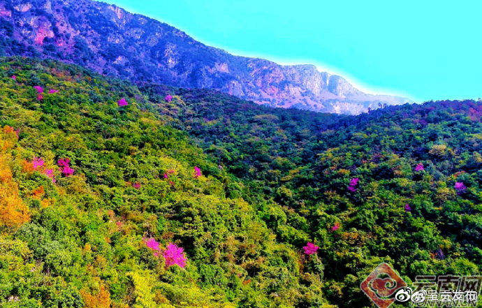 云南省天气情况