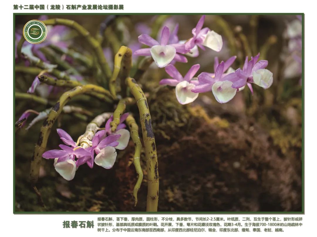 保山广播电视台