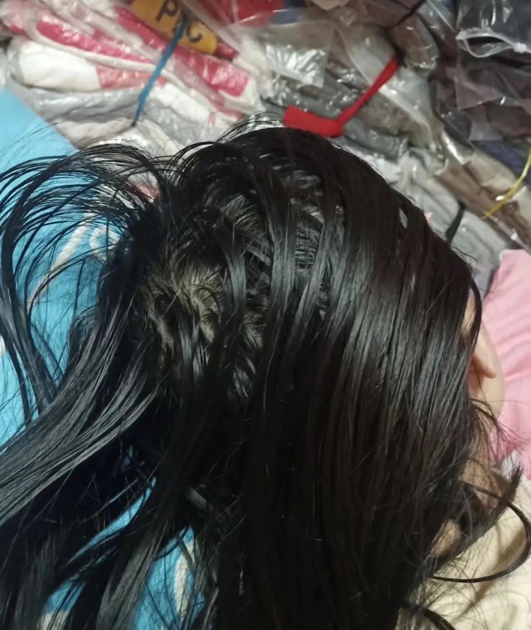 春城晚报