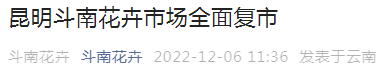 掌上春城