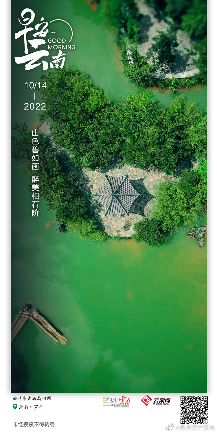 罗平相石阶森林公园：藏身城市里的宁静与诗意