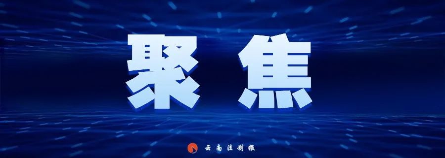 云南法制报