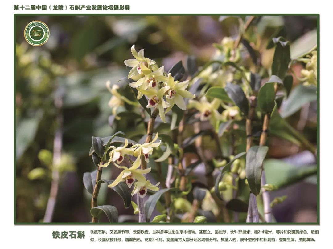 保山广播电视台