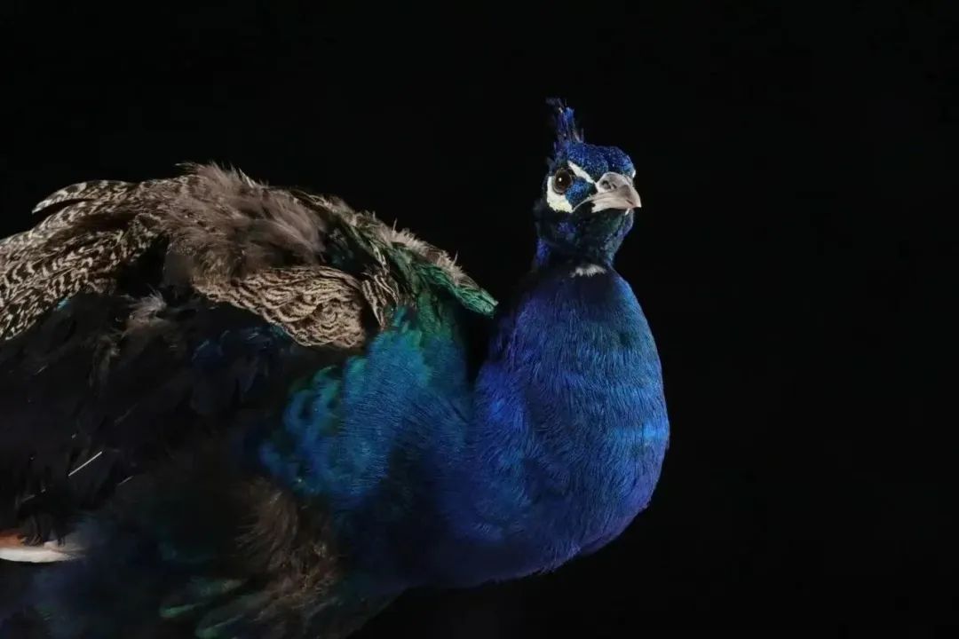 昆明阳宗海风景名胜区