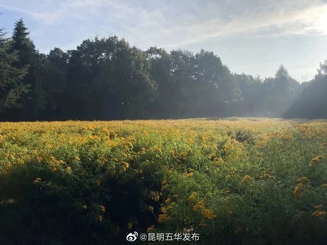 昆明五华发布
