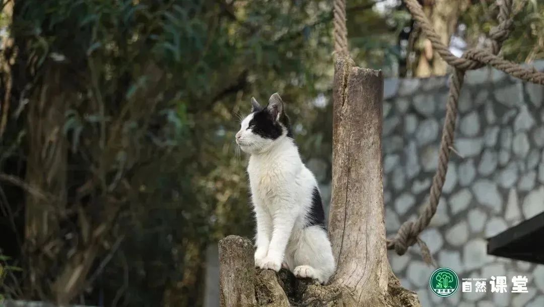 云南野生动物园