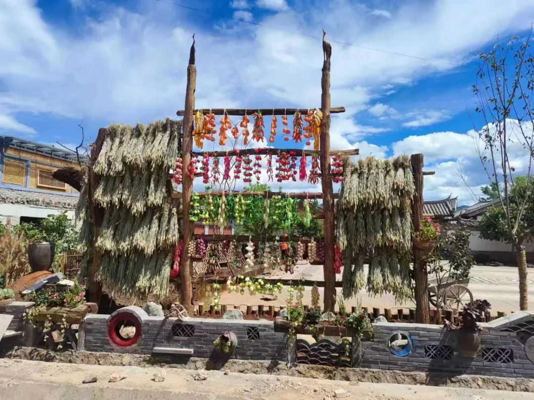 丽江日报