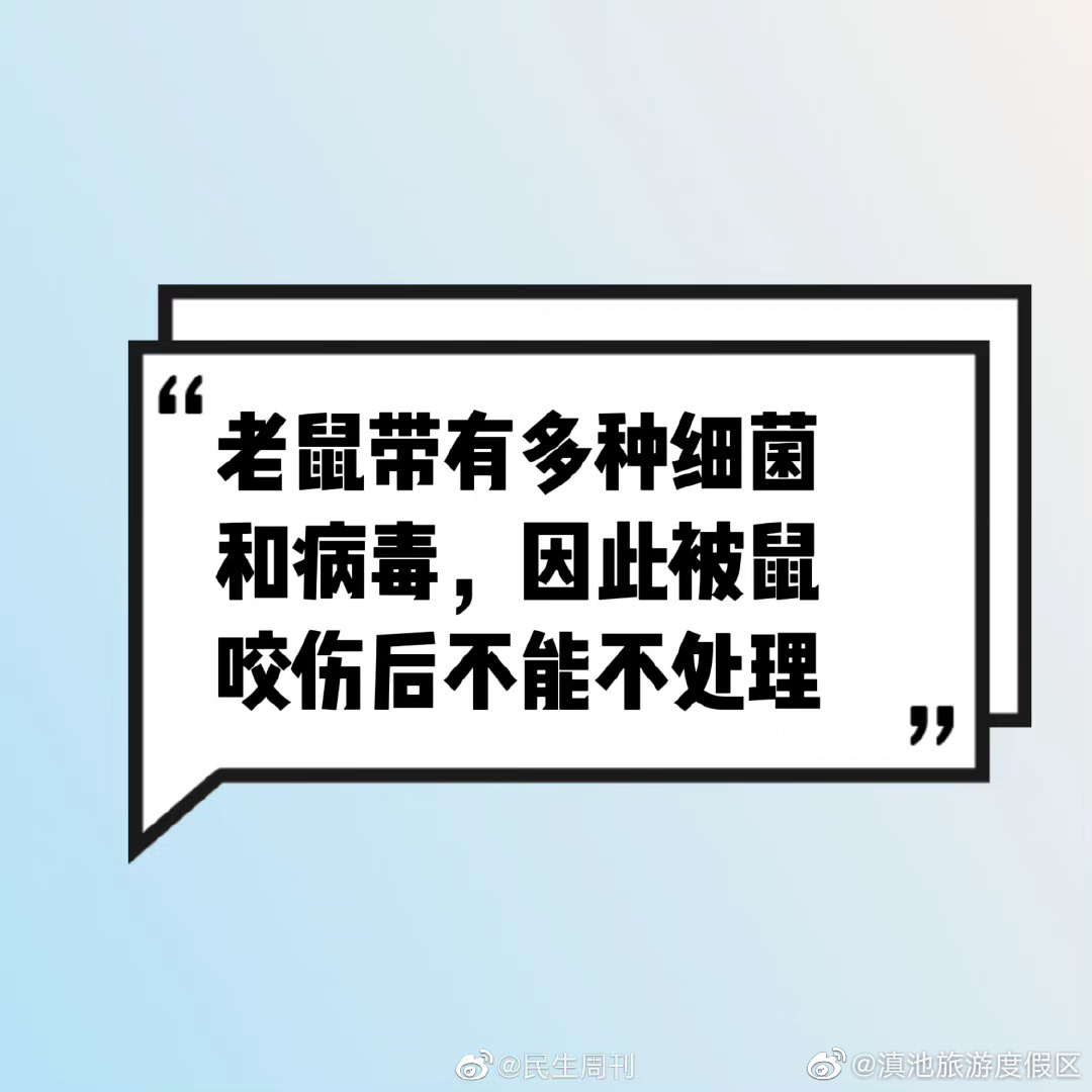 被老鼠咬一定要这样处理