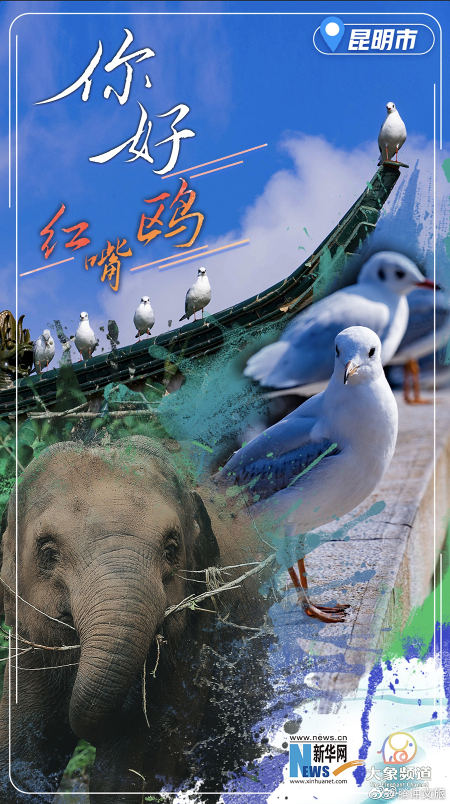 腾冲文旅微博