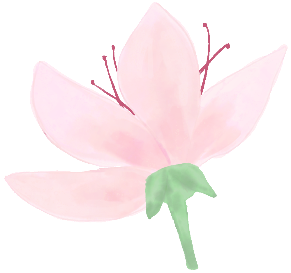 保山新闻网