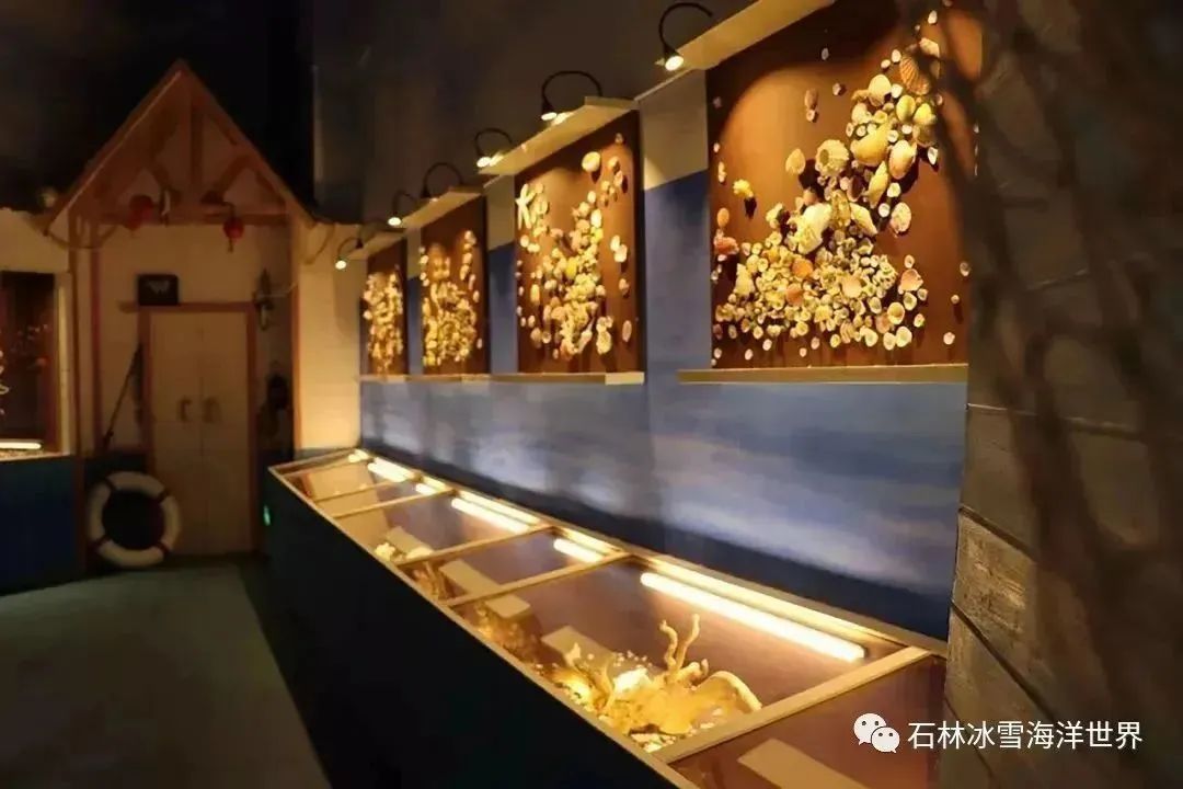 石林融媒