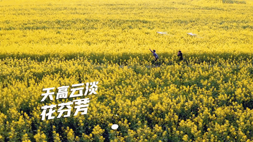 “大理发布”微博