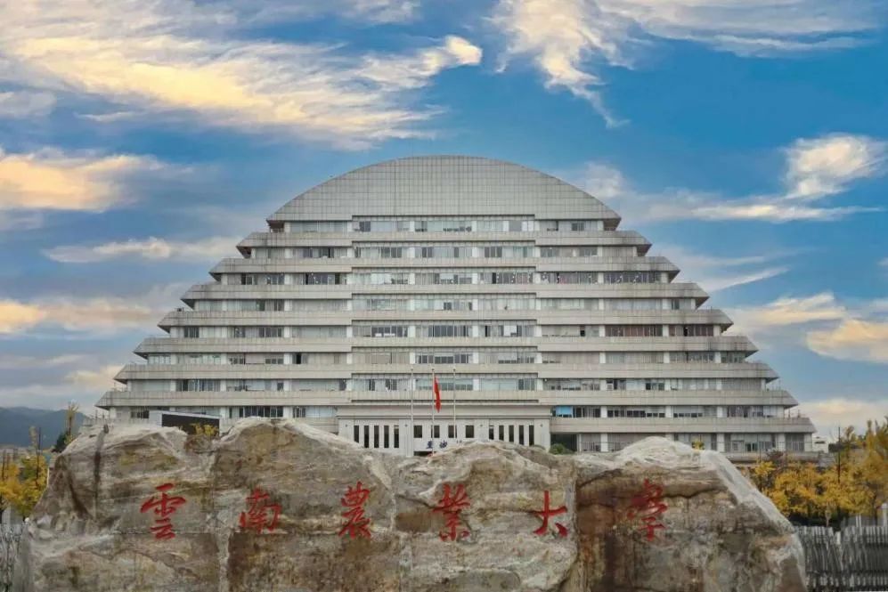 云南省文化和旅游厅