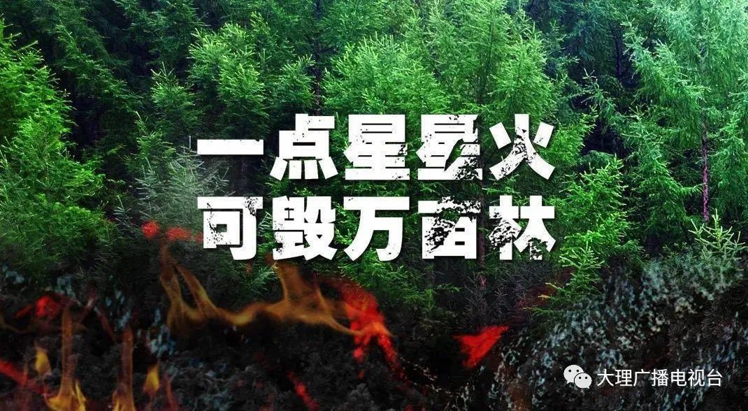 大理电视台