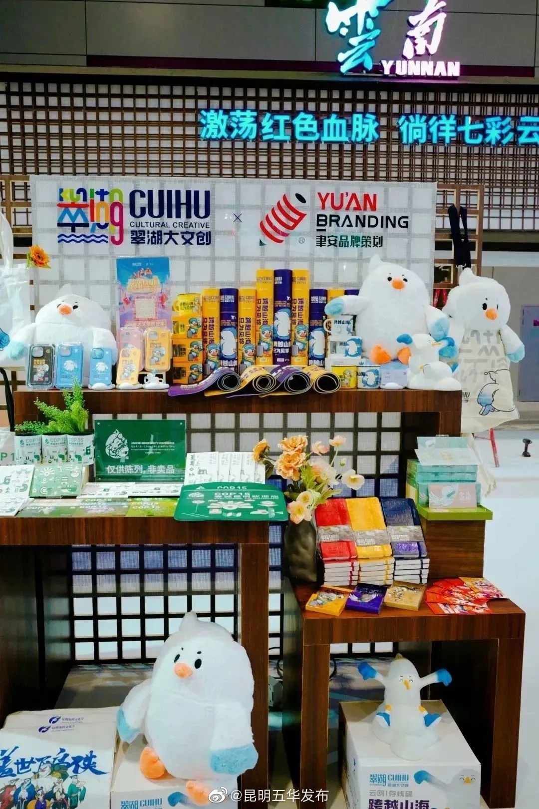昆明五华发布