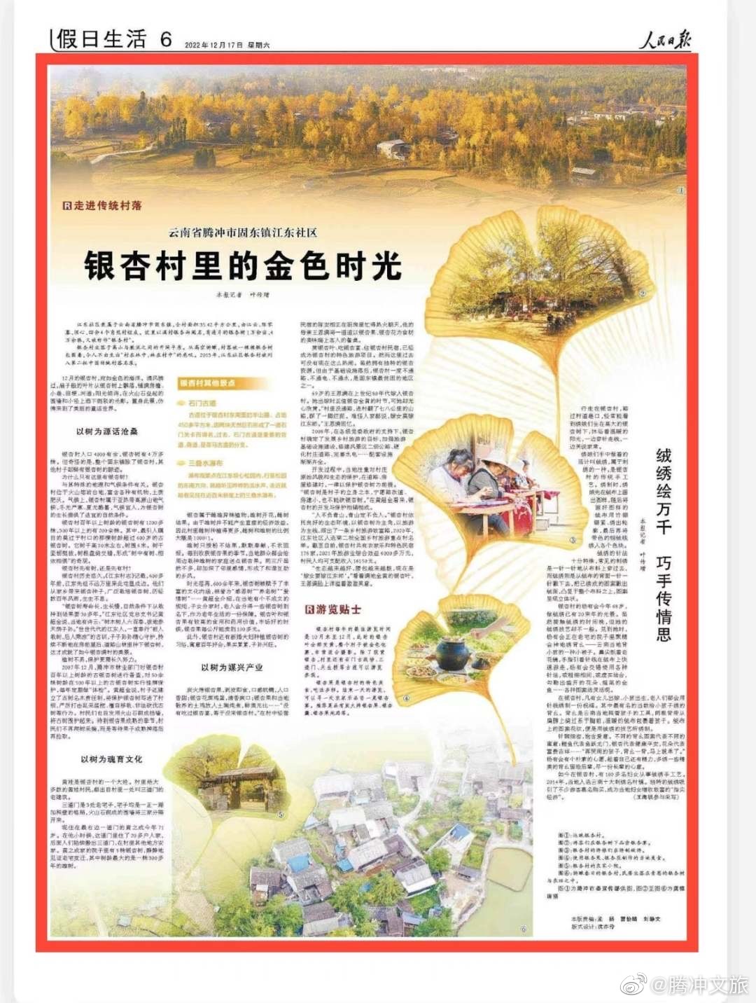 银杏村里的金色时光！人民日报整版点赞云南腾冲固东镇江东社区