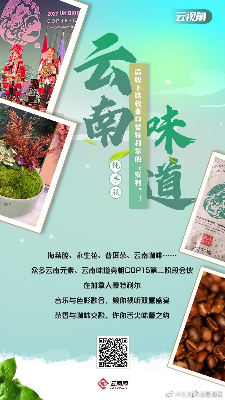“云南味道”纯享版 请收下这份来自蒙特利尔的“安利”！