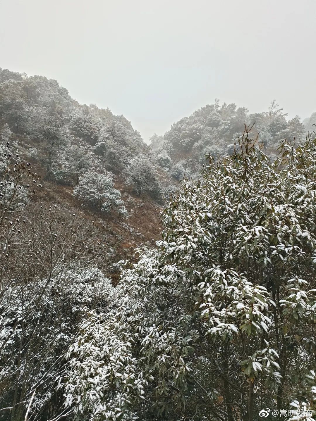 嵩明发布