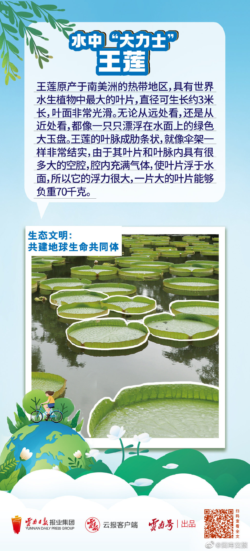 腾冲文旅微博