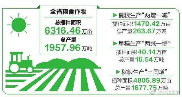 今年云南粮食作物总产量达1957.96万吨