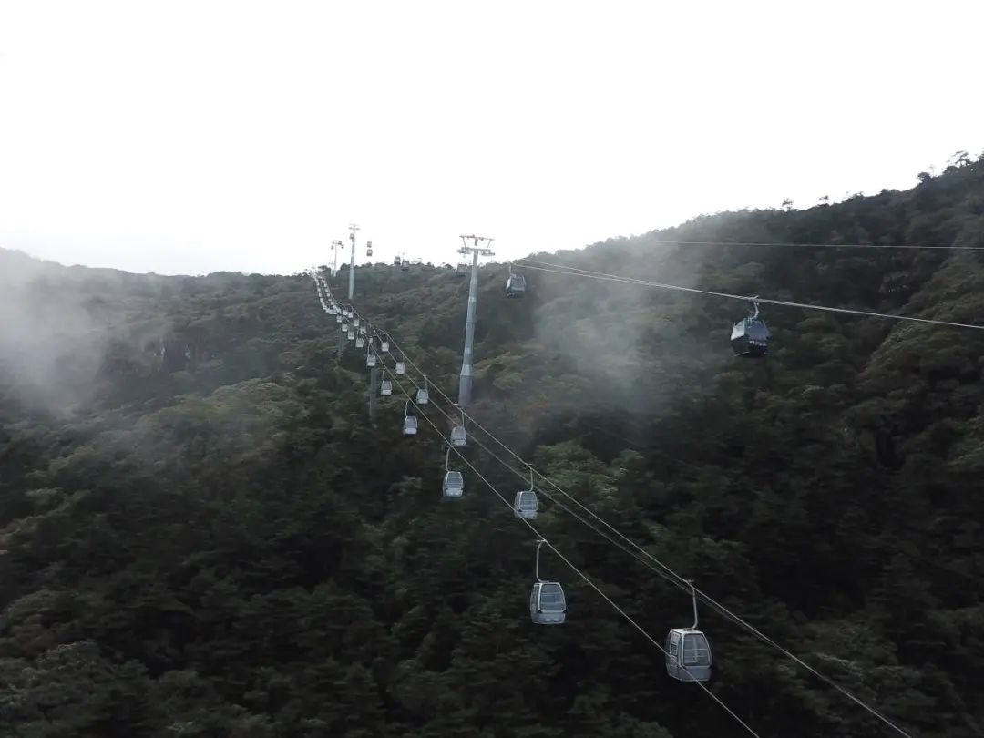昆明轿子山旅游