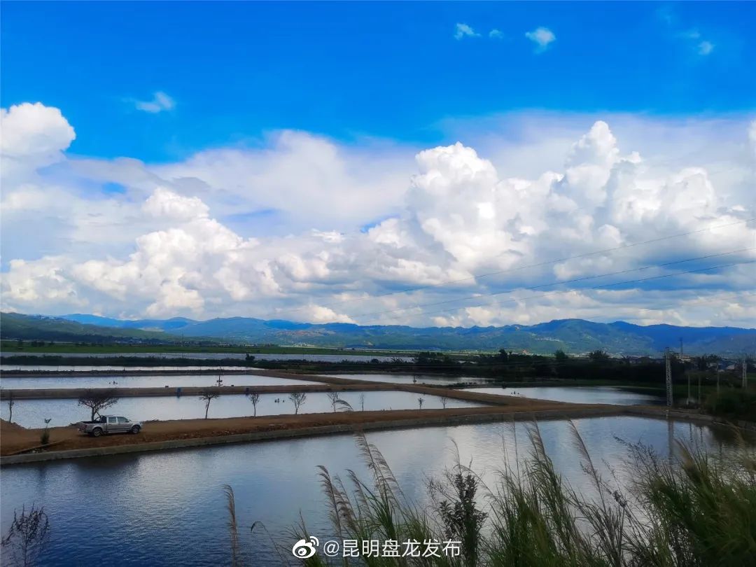 昆明盘龙发布