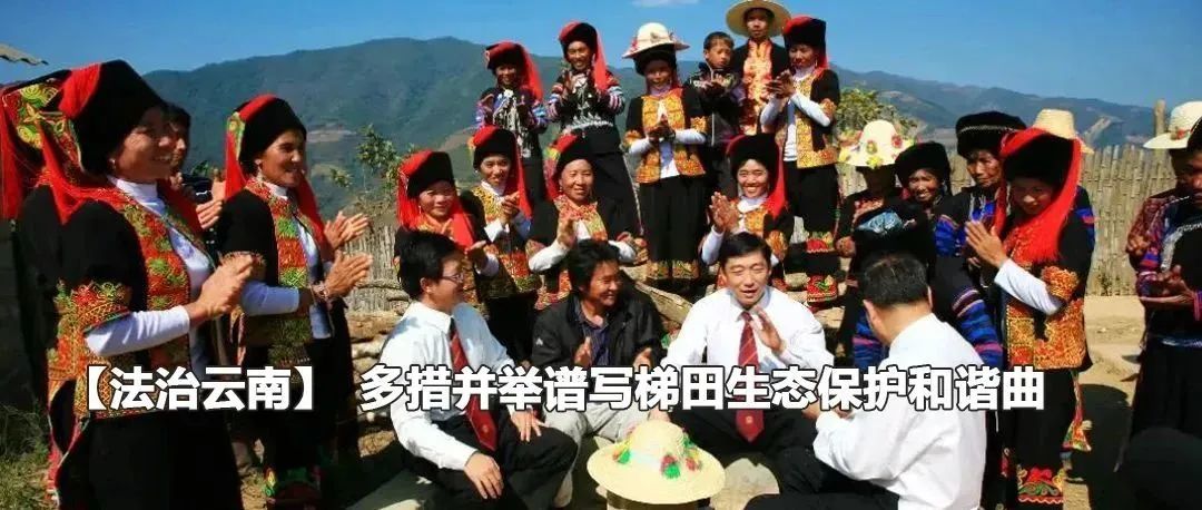 云南政法