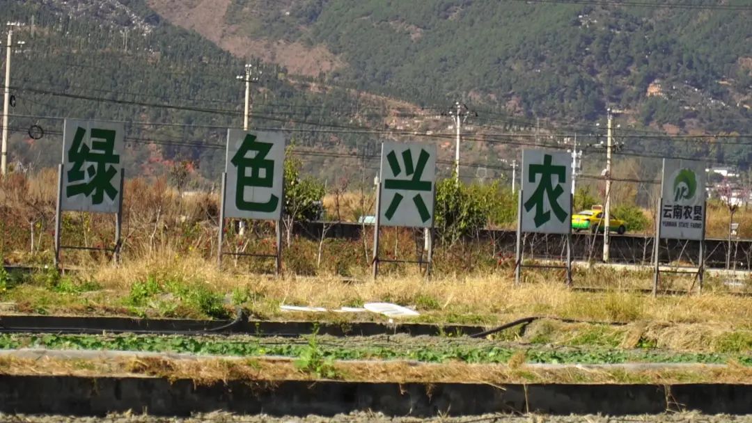 大理电视台