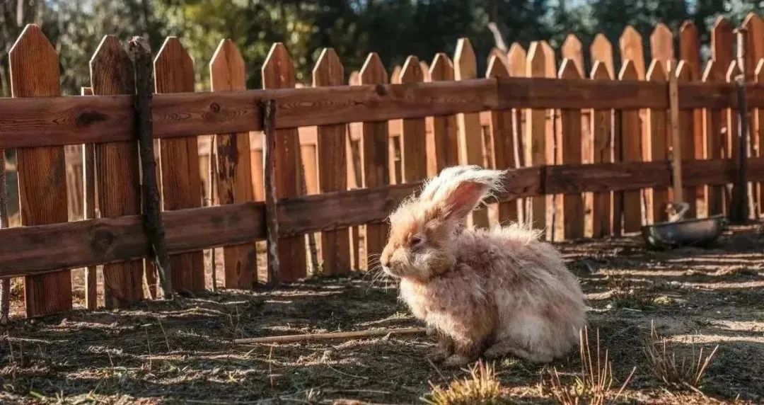 昆明阳宗海风景名胜区