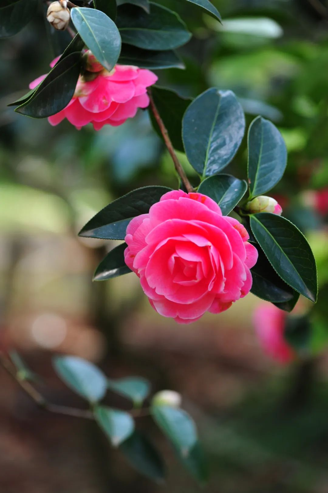 昆明市金殿名胜区