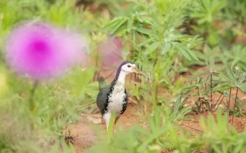 昆明文旅