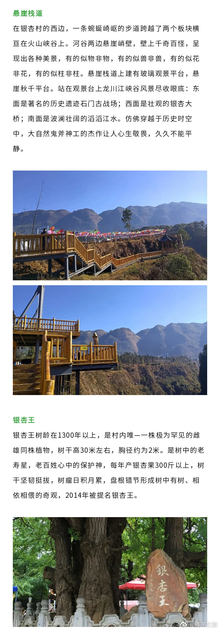 腾冲文旅微博