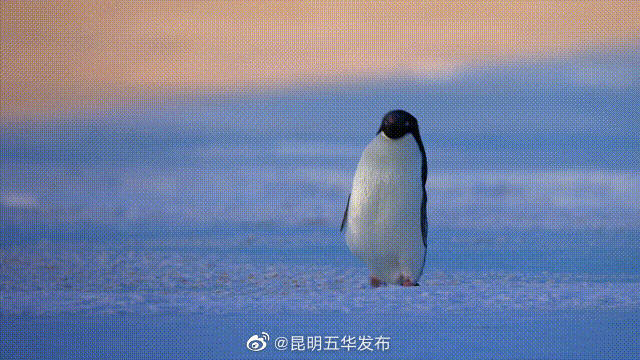 手脚冰凉分3个等级 