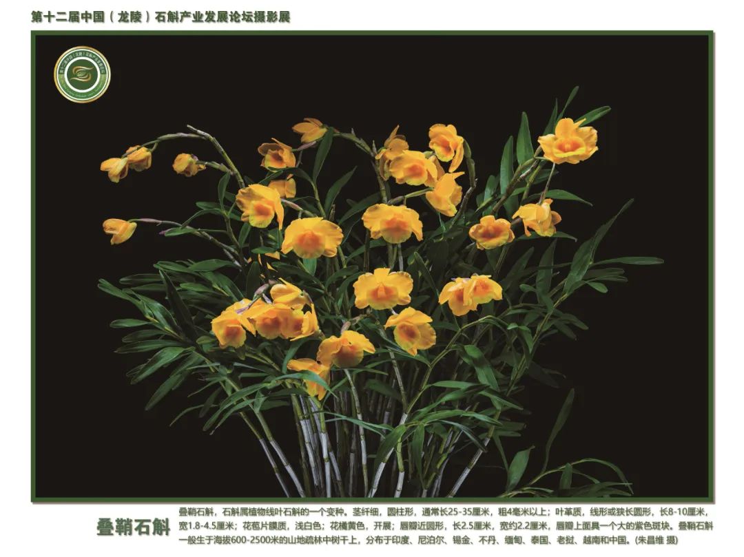 保山广播电视台