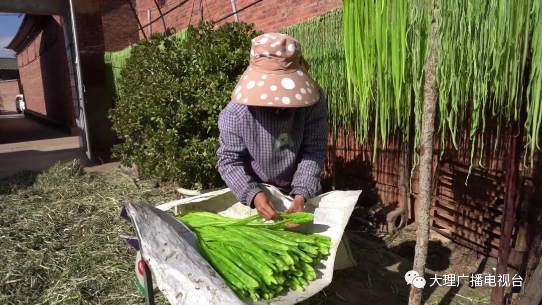 大理电视台