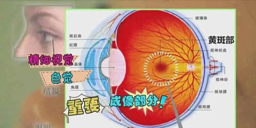 云南省中医医院