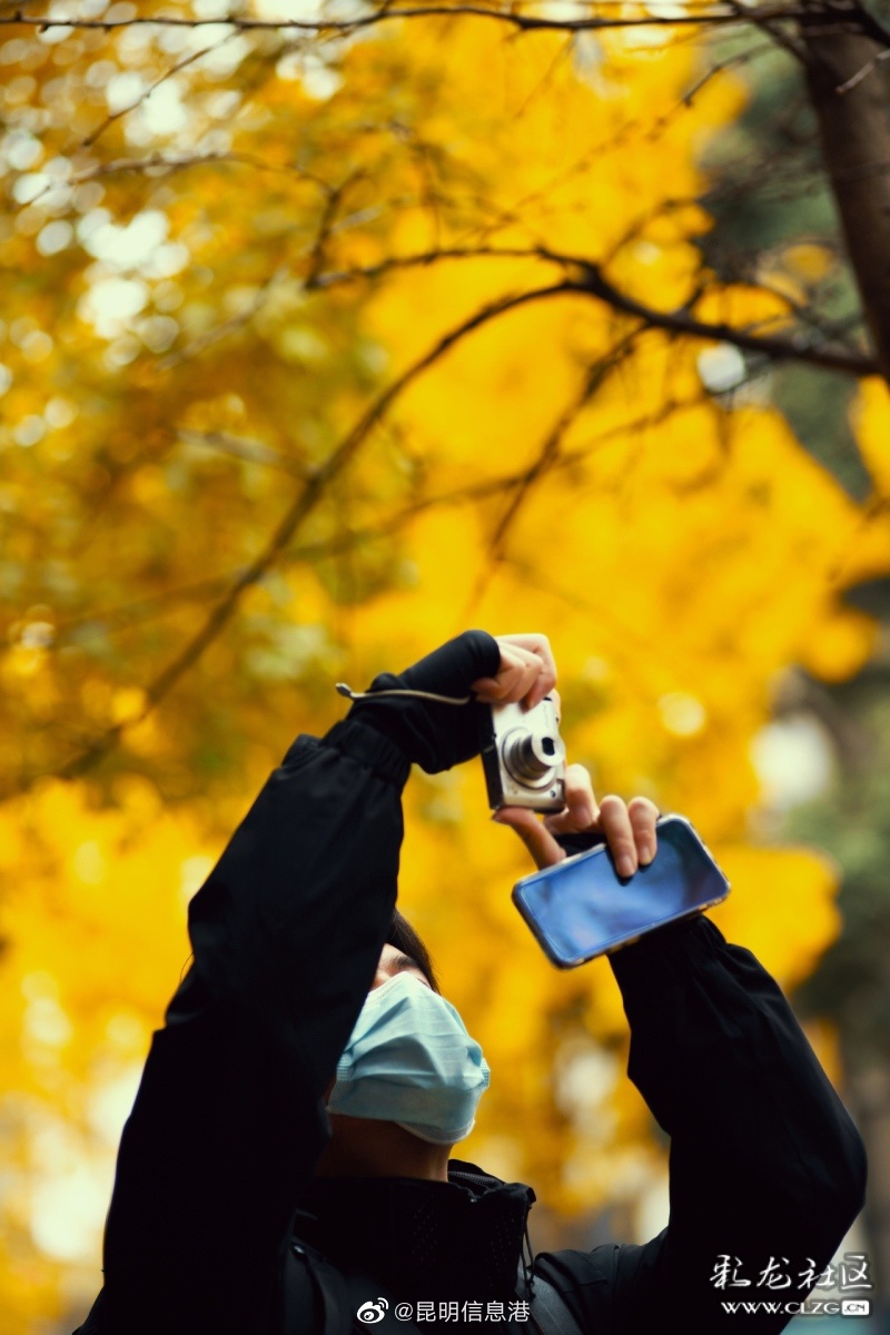 昆明信息港（微博）
