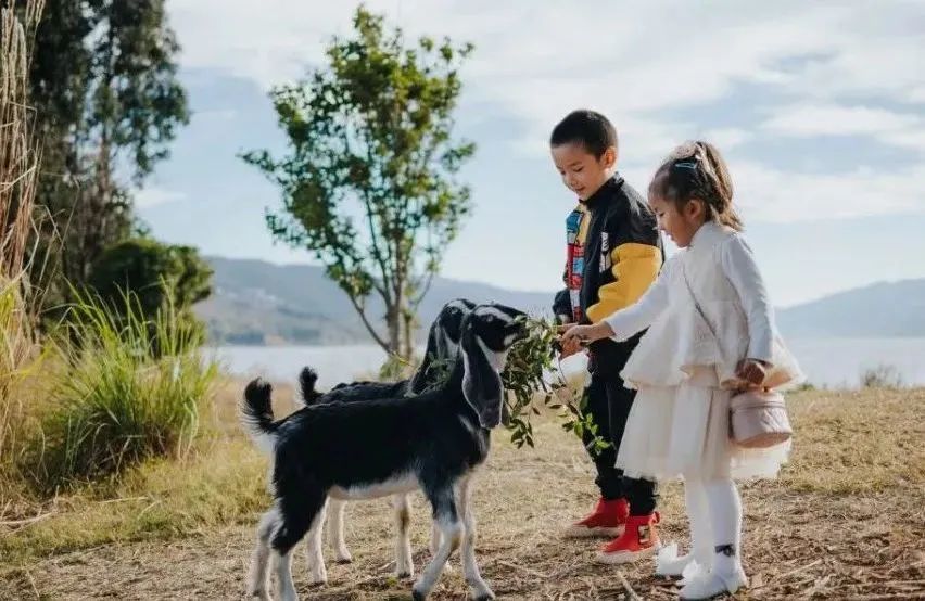 昆明阳宗海风景名胜区